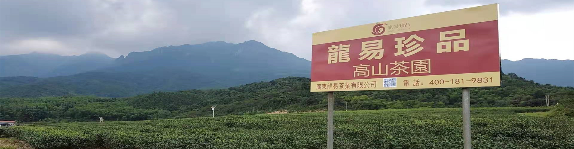 常見問題