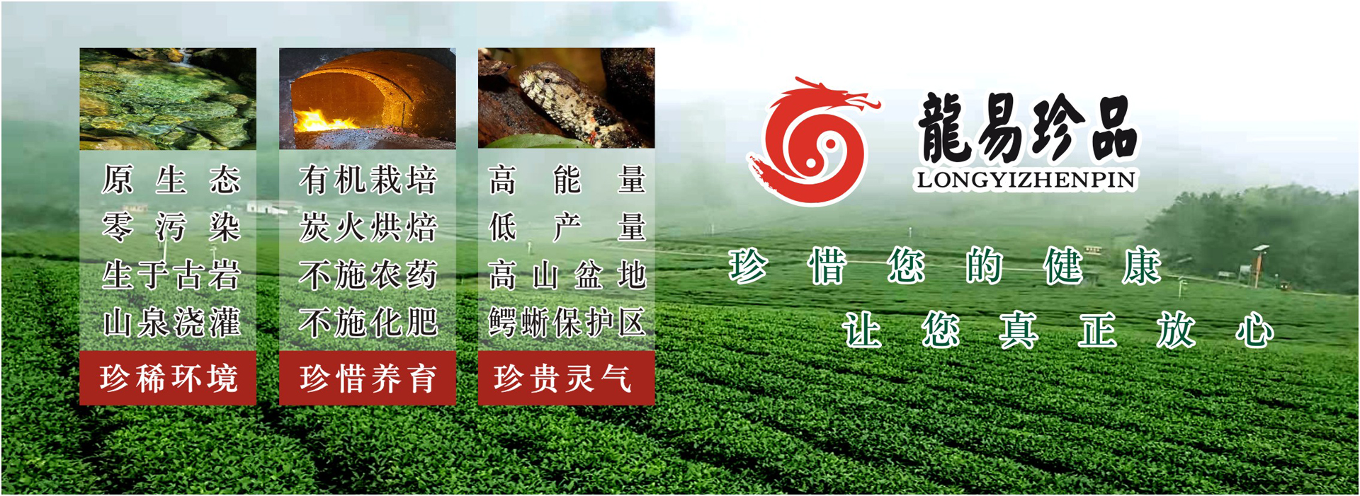 三才禪茶