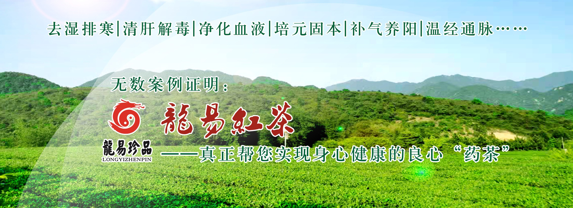 龍易紅茶：白發(fā)變黑、女性崩漏、療愈痔瘡、延緩衰老、調(diào)理三高、溫經(jīng)通脈